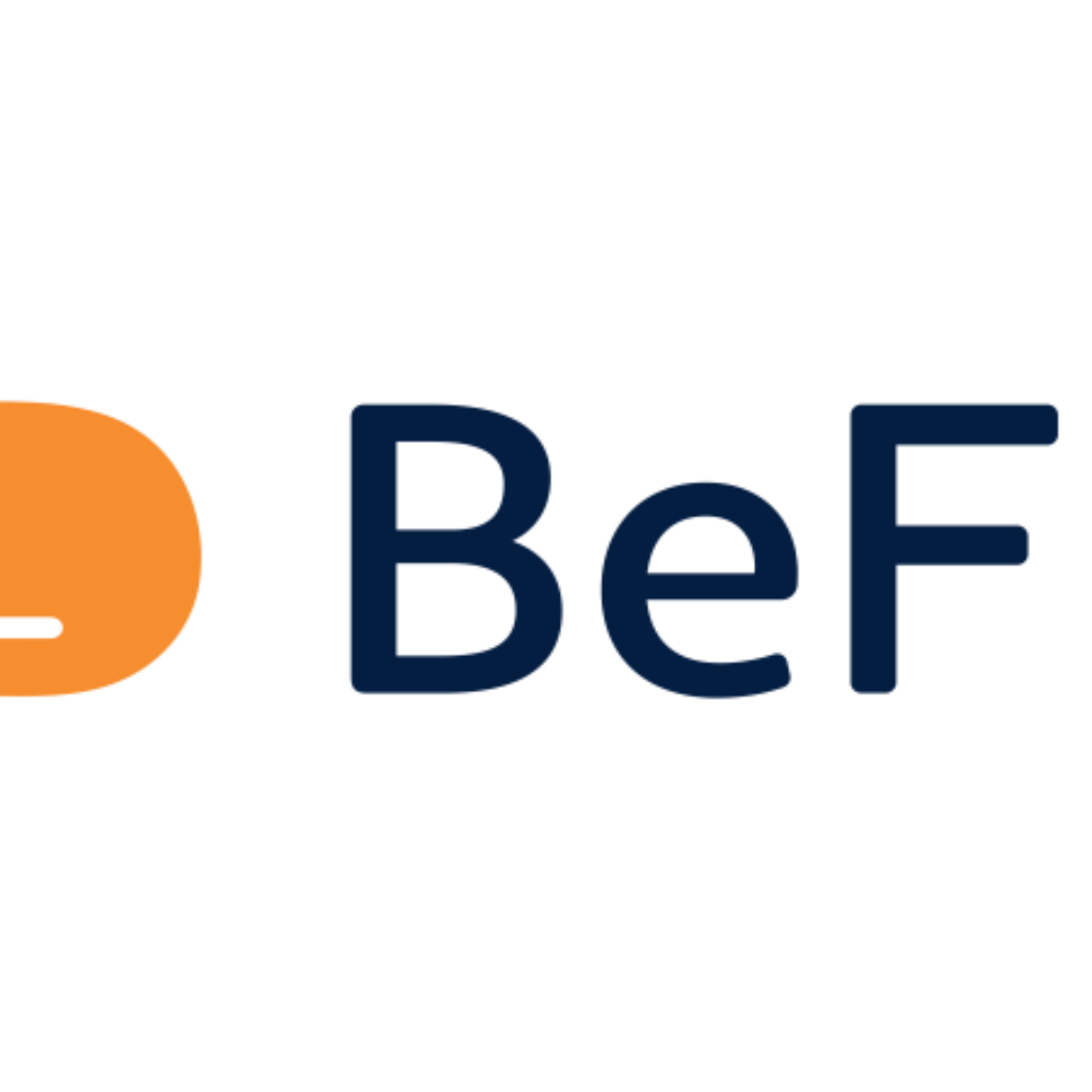 BeFly Brasil